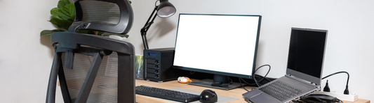 Ergonomic Mouses vs. Traditional Mouses: Which is Better for You?