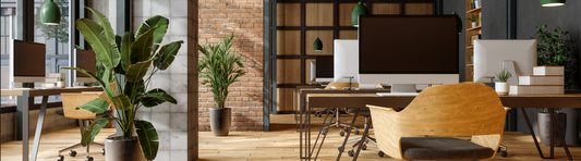 Ergonomic Mouses and Carpal Tunnel Syndrome: Prevention and Relief